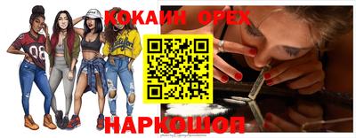 дживик Аша