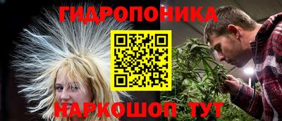 дживик Аша