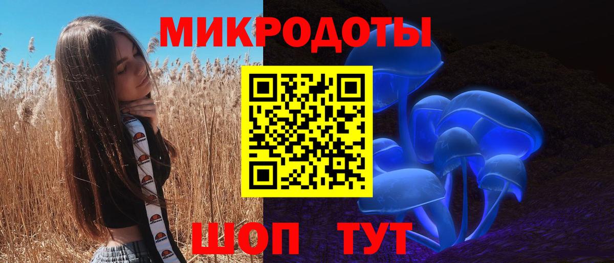 Псилоцибиновые грибы Psilocybe Гулькевичи
