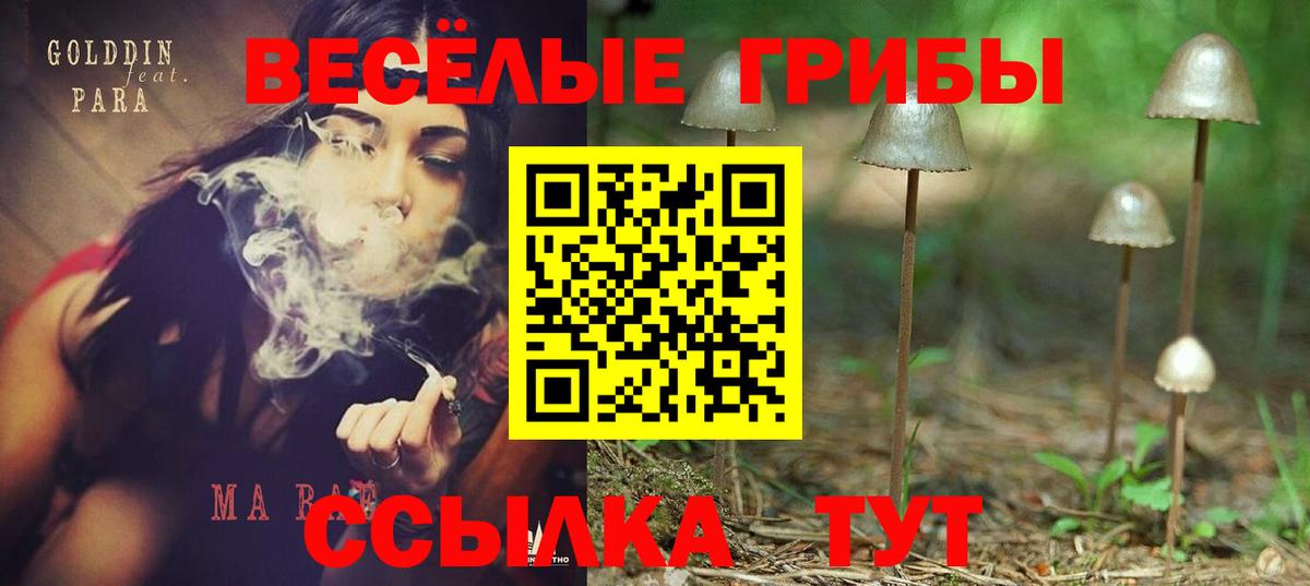где найти   Вход с VPN  Гулькевичи  Псилоцибиновые грибы мухоморы 